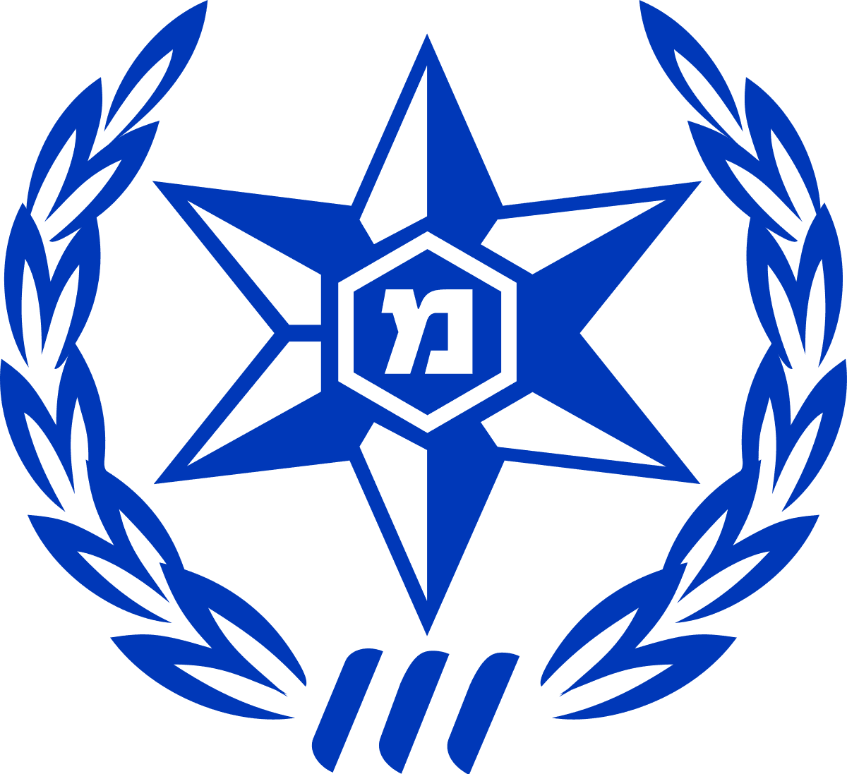 משטרת ישראל